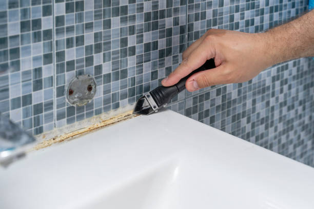 Best DIY Mold Remediation Support Services in Keene, TX