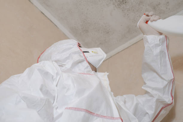 Best Kitchen Mold Remediation in Keene, TX