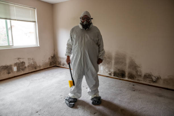 Keene, TX Mold Remediation Company