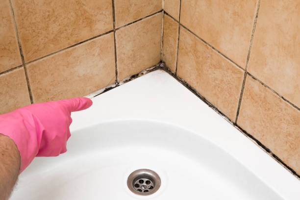 Best Residential Mold Remediation in Keene, TX